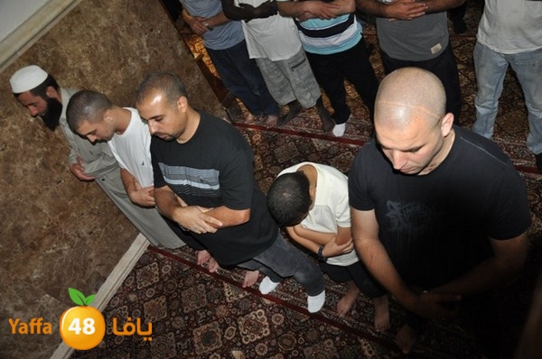 trawe7 mahmodiya 713 (35).JPG